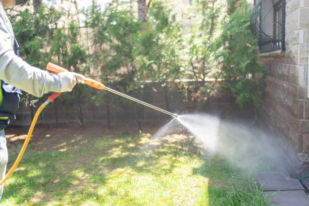 Best Insect Control  in Ackley, IA
