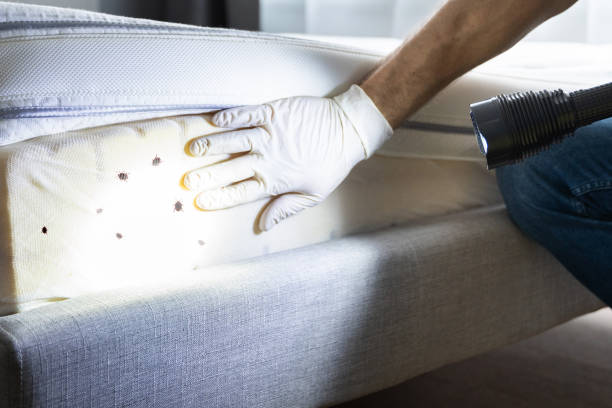 Best Wildlife Control Services  in Ackley, IA