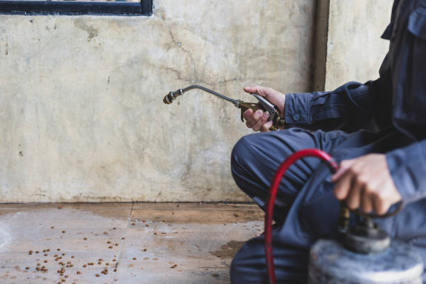 Best Mosquito Control Services  in Ackley, IA