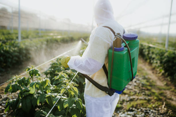 Best Bed Bug Extermination  in Ackley, IA